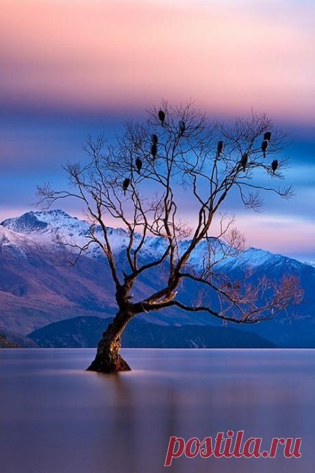 Найдено на сайте ponderation.net.