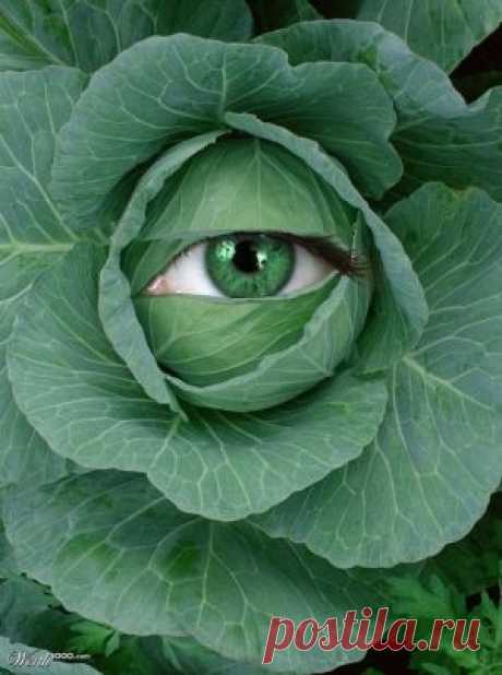 stunning photography Search on Indulgy.com