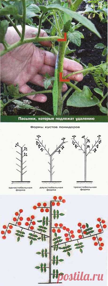 Без заголовка.