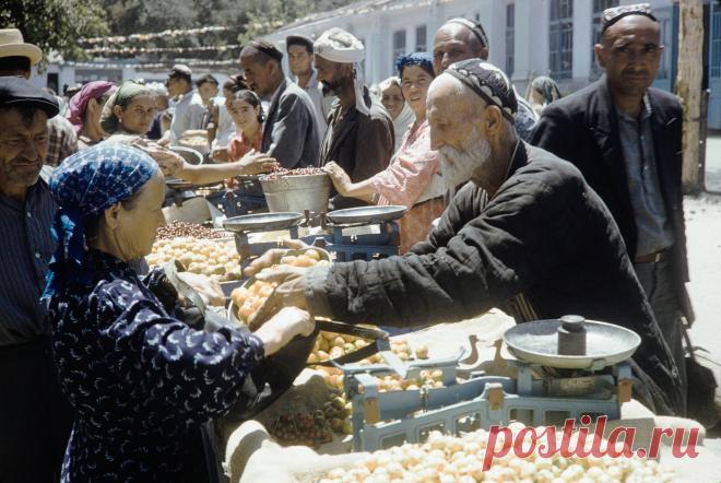 1959. Харрисон Форман в Самарканде. Часть 1: humus — ЖЖ