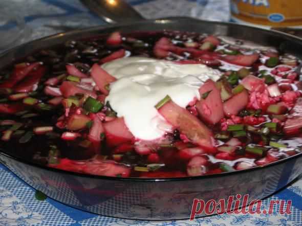 5 вкусных рецептов "холодного ". | ДОСТОЙНАЯ ЖИЗНЬ НА ПЕНСИИ