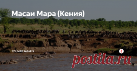 Масаи Мара (Кения) Масаи Мара – самый популярный и посещаемый национальный парк Кении, площадью 1672 кв.км (северная часть равнины Серенгети). Юго-западная часть Кении исконная земля древнего племени Масаи, и поэтому парк, лежащий на этой земле, носит одноименное название. Но главное отличие Масаи Мара от других парков Кении – это ежегодная миграция животных – «Великий спектакль природы». Во время невероятных масшта