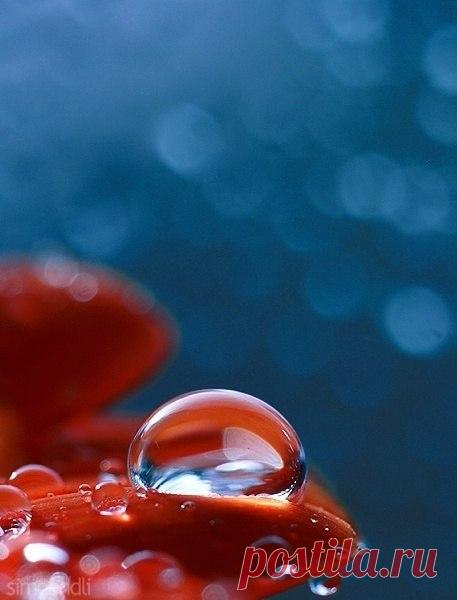 (4) Мой Мир@Mail.Ru