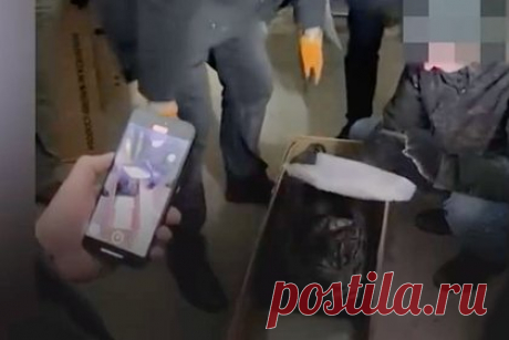 Спрятанный в розах кокаин на 200 миллионов рублей приехал в Россию из Эквадора