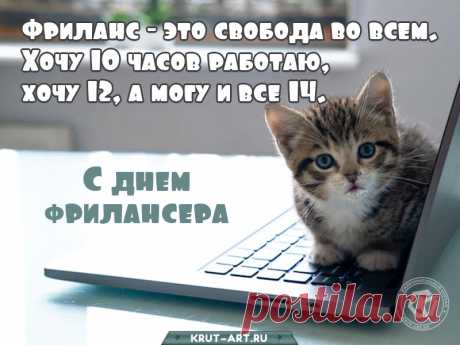 Новый праздник появился
Стильный, модный, молодой,
День фрилансера сегодня
Отмечаем всей страной.