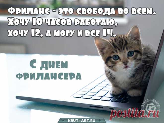 Новый праздник появился
Стильный, модный, молодой,
День фрилансера сегодня
Отмечаем всей страной.