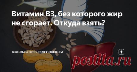 Витамин В3, без которого жир не сгорает. Откуда взять? Витамин В3, он же PP, ниацин, никотиновая кислота, никотинамид, ниацинамид. Зачем нам нужен ниацин? Главное, что нас интересует - это участие производных ниацина в начальных реакциях окисления жирных кислот, углеводов, аминокислот. Проще: без витамина В3 не запустится жиросжигание. Он необходим для переноса жирных кислот в "топку" (митохондрии клеток) и на стартовых этапах "горения". Кроме того, ниацин участвует в клет...