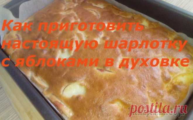 Как приготовить шарлотку с яблоками в духовке