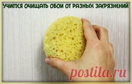 УДАЛЕНИЕ ПЯТЕН С ОБОЕВ 
Обидно, когда не успели в комнате доделать ремонт, и вдруг появилось пятно. Но выход есть из любой сложной ситуации, и если воспользоваться некоторыми хитростями, то и эту проблему можно решить. Для начала следует…
Продолжение - ok.ru/uyutnyu
•••