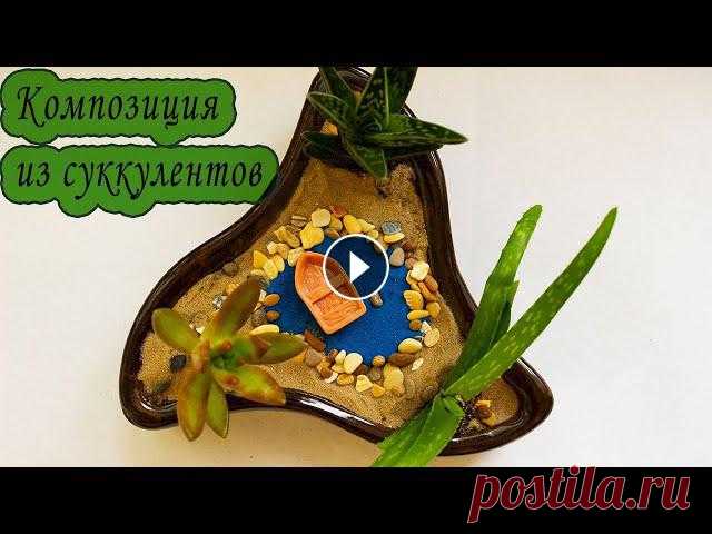 Композиция из суккулентов. [Надежда и мир] Сегодня составляю интересную композицию из суккулентных растений.Мой инстаграм ► Группа в ВК ► Подписывайтесь на канал ► и ставьте лайки))Здравствуйте...