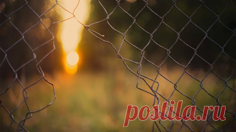 «Да брось, у тебя нет причин грустить. Ты же сильный, возьми себя в руки, наконец!» — можно услышать от родственников, друзей, коллег. К сожалению, многие все еще не понимают, что депрессия — это не просто плохое настроение или психологическая незрелость, а серьезное ментальное расстройство, которое сопровождается физическими и биохимическими изменениями в мозге. Рассказываем больше о новой книге «Из депрессии» (mif.to/stopd) и делимся мыслями из нее.