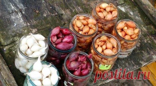 КАК ПОДГОТОВИТЬ ЛУК-СЕВОК К ПОСАДКЕ
Чтобы ускорить прорастание севка на 3-5 дней, что приведет к созреванию урожая на пару недель раньше, нужно провести предпосевную яровизацию севка. Для этого его нужно продержать три недели в ящиках в тепле и на солнце.
Теперь нужно проверить качество севка. Перебрать и очистить то, что легко отшелушивается. Больные, уродливые, а также проросшие луковки нужно отбраковать. (Я их потом, за исключением больных, отдельно обрабатываю и сажаю на перо). По ходу дел