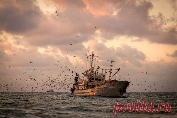 Судно «Восход», Чёрное море. Автор фото: Алексей Яковлев.