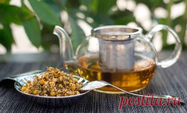 ИЗ РОМАШКИ ЧАЙ — БОЛЕЗНЯМ СПУСКУ НЕ ДАВАЙ! ЧИСТИТ ПЕЧЕНЬ, СНИЖАЕТ ХОЛЕСТЕРИН И ДАЖЕ САХАР В КРОВИ! — Journal women❜s