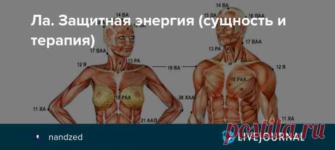 Ла. Защитная энергия (сущность и терапия) Считается, что все тигле генерируются главным тигле, находящимся в центре сердечной чакры, там, где сознание, переживавшее состояние бардо (промежуточное состояние после смерти и перед новым рождением) проникло в смесь мужской и женской зародышевых жидкостей, положив начало…