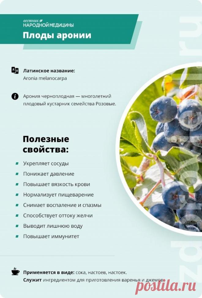 Плоды аронии