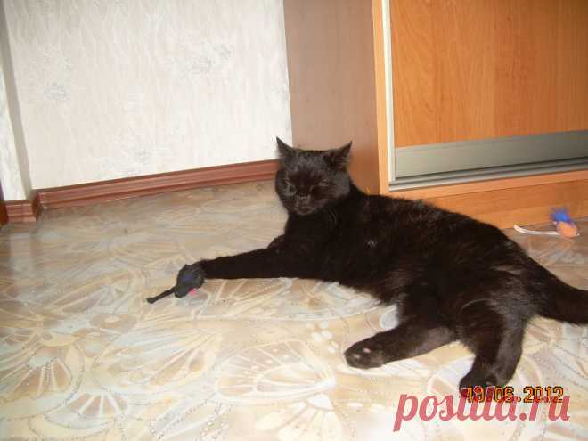Охотник отдыхает