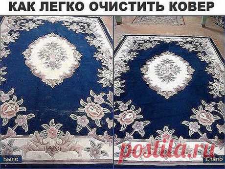 Домашнее средство для чистки ковра — Полезные советы