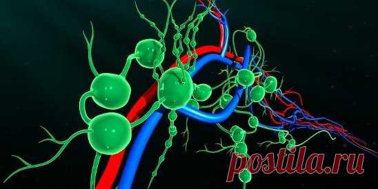 Золотые рецепты фитотерапии: очищение лимфы в один прием.... | Интересный контент в группе Что и требовалось доказать