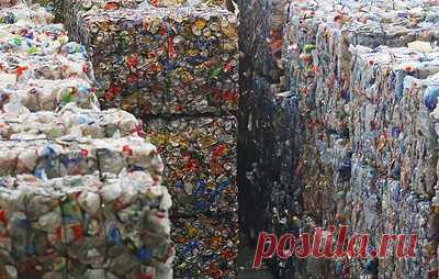 Не про экологию, а про эффективность и деньги: когда мусор перестает быть мусором. Михаил Замарин — об экономике замкнутого цикла как бизнес-модели будущего