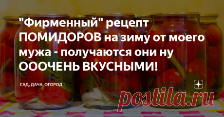 "Фирменный" рецепт ПОМИДОРОВ на зиму от моего мужа - получаются они ну ОООЧЕНЬ ВКУСНЫМИ! Вот и приблизилось время долгожданных заготовок на зиму - урожай поспевает полным ходом, а значит, пора доставать свои кулинарные тетрадки с рецептами и приступать к работе - сезон консервации открыт!
Честно признаюсь, помидоры на зиму я закрывала всего-то пару раз, поскольку этим процессом вот уже больше десяти лет занимается мой муж - получаются они у него ну просто отменными (без капли лести,