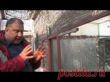 Питомник ДонЗоо Рассказ о хозяйстве - YouTube