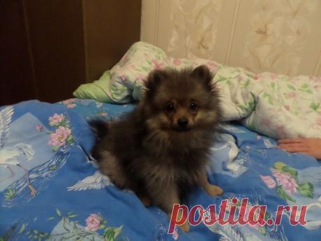 Мне 2 месяца