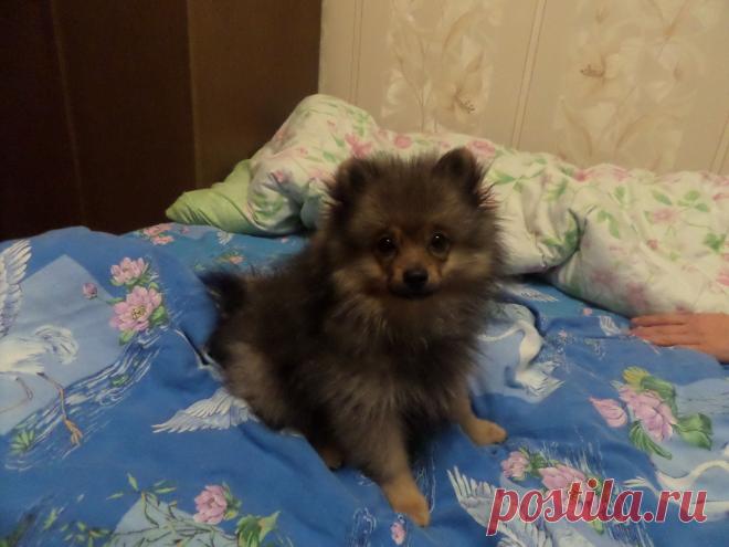 Мне 2 месяца