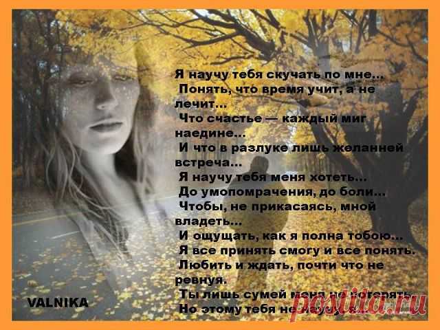 стихов любимейшие строки