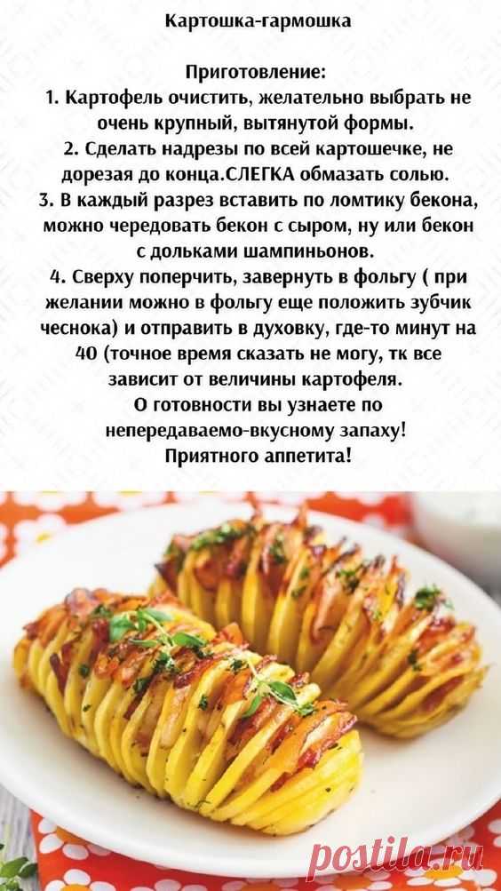 Картошка - гармошка