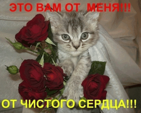 А это для тебя!