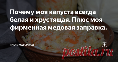 Почему моя капуста всегда белая и хрустящая. Плюс моя фирменная медовая заправка. Не боюсь квасить капусту на полной Луне и в магнитные бури.