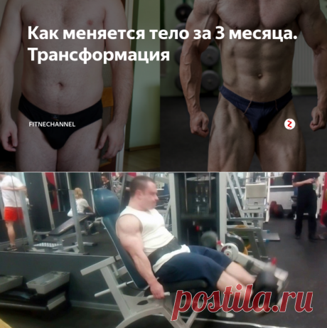 Как меняется тело за 3 месяца. Трансформация | fitnechannel | Яндекс Дзен