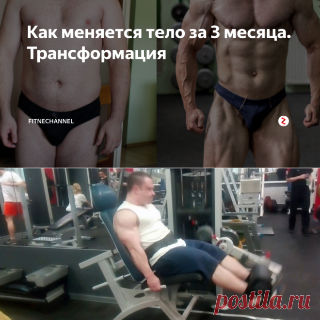Как меняется тело за 3 месяца. Трансформация | fitnechannel | Яндекс Дзен