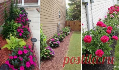 20 замечательных идей оформления клумбы вокруг дома. – ВСЕ ПРОСТО