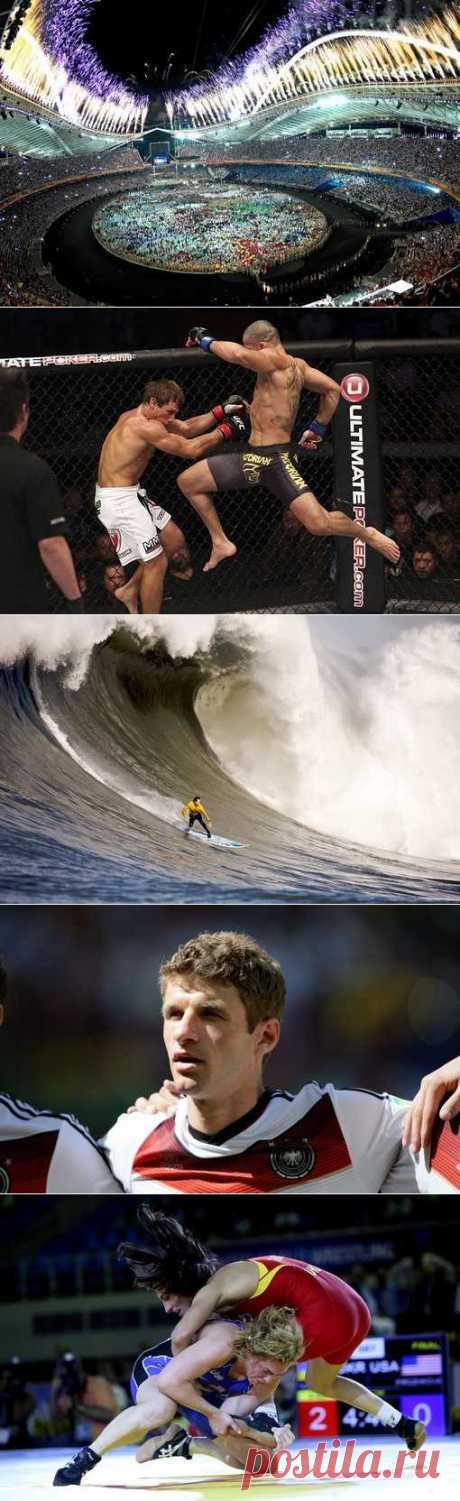 Туризм спортивный, Стрельба из лука, Парусный спорт, Формула 1 на воде. (1/1) - Спортивный форум. - Спортивный сайт