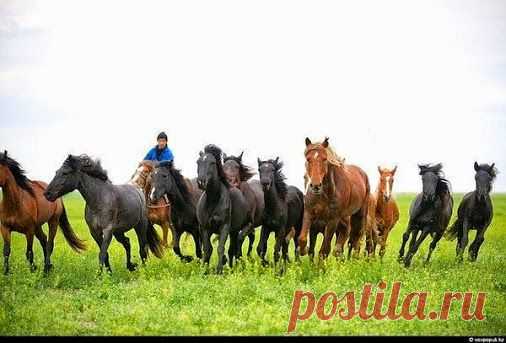 Кабдрахман Мамежанов – Google+