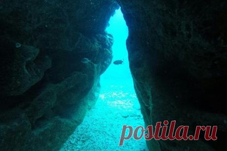 Глубоко под Тихим океаном земная кора разрывается на части Новый анализ показывает, что странные особенности точки столкновения частей земной коры свидетельствуют о том, что структура может приближаться к своему концу. Исследование опубликовано в журнале Science Advances.Тщательный анализ сложной границы, где встречаются четыре тектонические...