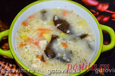 Куриный суп с плавленым сыром и пшеном. Рецепт с фото / Готовим.РУ