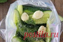 СОЛЕНЫЕ ОГУРЦЫ С ЧЕСНОКОМ И УКРОПОМ