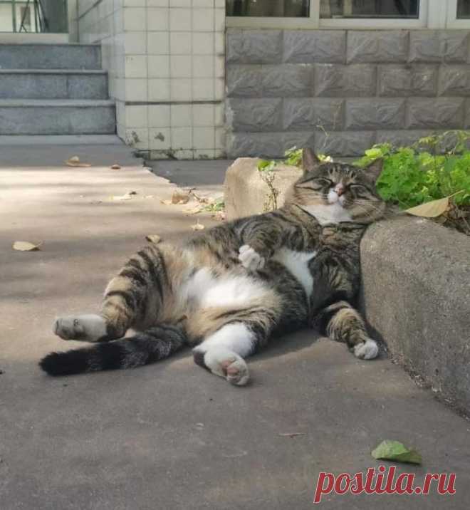 Tweets liked by Eternal Love 🐥🦋🐱 (@liubov_liubov5) / Twitter