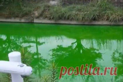 Река в Японии неожиданно стала ярко-зеленой. В Японии жители обнаружили, что вода в реке внезапно стала ярко-зеленой. Специалисты отправились вверх по течению реки и выяснили, что причиной необычного цвета стало органическое соединение флуоресцеин натрия, которое используется в качестве красителя. Отмечается, что вещество безопасно для здоровья.