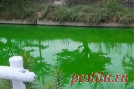 Река в Японии неожиданно стала ярко-зеленой. В Японии жители обнаружили, что вода в реке внезапно стала ярко-зеленой. Специалисты отправились вверх по течению реки и выяснили, что причиной необычного цвета стало органическое соединение флуоресцеин натрия, которое используется в качестве красителя. Отмечается, что вещество безопасно для здоровья.