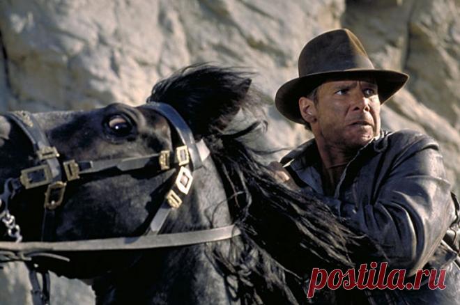 Новый вид змей назвали в честь звезды «Индианы Джонса». Ранее именем Харрисона Форда также называли новые виды муравьев и пауков.