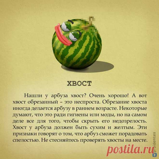 Ideas & Decor