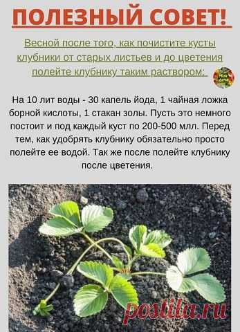 НАРОДНЫЕ СОВЕТЫ 2022! — Разное | OK.RU