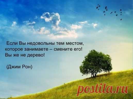 Алекс Рич