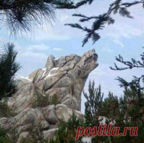 (2) Facebook