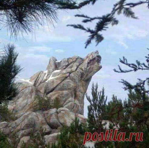 (2) Facebook