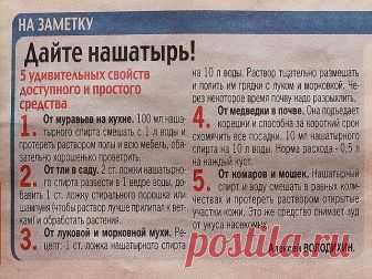 В копилку огородника! Полезные советы ниже  ↓↓↓